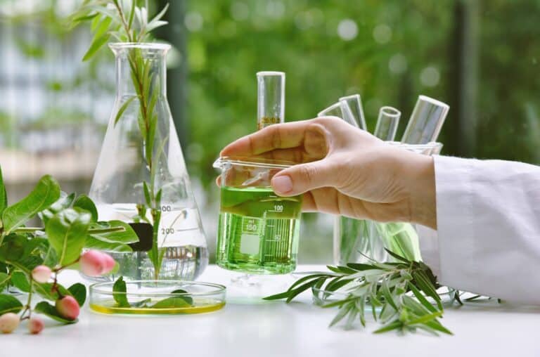 Herbal cosmetics